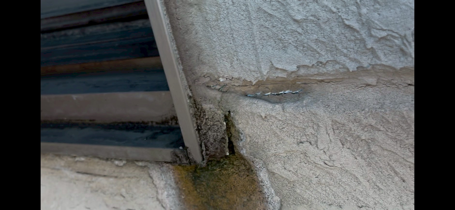 サッシ周りに苔が発生して侵食されている外壁